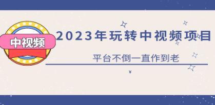 《0基础玩转抖音中视频项目》平台不倒，一直做到老