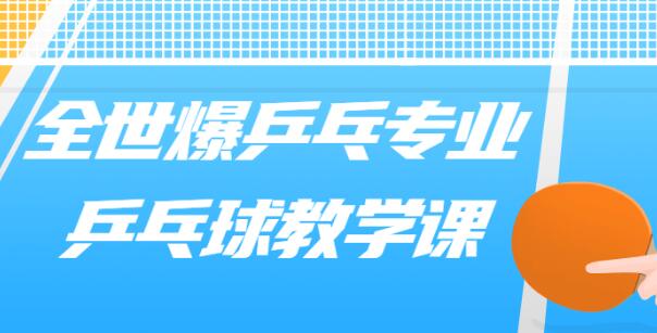 乒乓球教学视频《专业乒乓球教学》教程