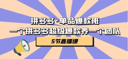 《拼多多单品爆款班》打造策略，爆单的实操玩法教学