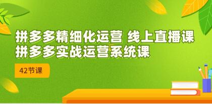 《拼多多精细化运营》拼多多实战运营系统课 