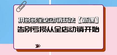 《拼多多全店动销玩法》告别亏损从全店动销开始