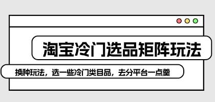 《淘宝冷门选品矩阵玩法》选一些冷门类目品，去分平台一点羹