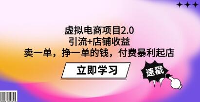 《虚拟电商项目2.0》引流+店铺收益，付费暴利起店