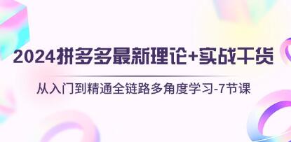 《拼多多最新理论+实战干货》从入门到精通全链路多角度学习