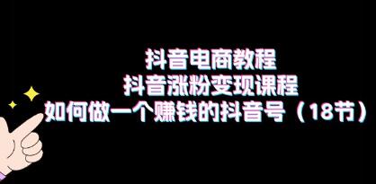 抖音电商教程《抖音涨粉变现》做一个赚钱的抖音号