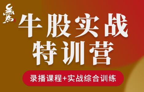 无为《牛股实操特训营》视频