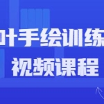 手绘教程，秋叶手绘训练营课程视频