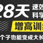 刘洹增高视频《28天速效科学增高训练》