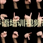 手语教程，手语教学视频，标准手语培训视频