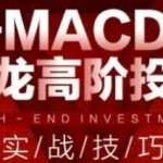 macd指标详解《MACD寻龙高阶投资实战技巧》教程视频