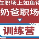 恶魔奶爸《职场破局训练营1.0》教你职场破局之术，从小白到精英一路贯通