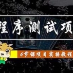 《小程序测试项目》从星图 搞笑 网易云 实拍 单品爆破 抖音抖推猫小程序变现