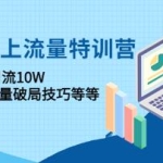 《线上流量特训营》暴力引流10W+中小卖家流量破局技巧等等