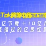 《TIKTOK跨境破局课》跨境新流量，35亿下载＋10亿月活，千万不能错过的红利风口