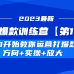 《淘宝爆款训练营第11期》 从0开始教你运营打爆款，方向+实操+放大