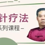 刘国轩《中医炁针疗法临床实战》视频教学