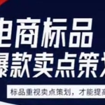 大圣《电商标品爆款卖点策划课》标品卖点成就爆款，可落地卖点提炼课