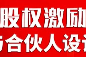 臧其超《股权激励与合伙人设计》课程视频