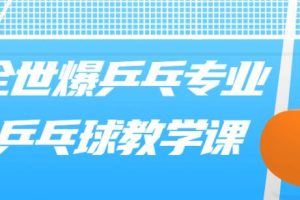 乒乓球教学视频《专业乒乓球教学》教程