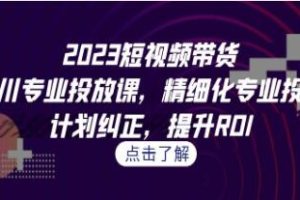 《短视频带货-千川专业投放课》精细化专业投放，计划纠正，提升ROI