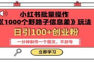 小红书批量操作《1000个野路子信息差》玩法 日引100+创业粉