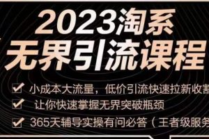 《淘系无界引流实操课程》小成本大流量，低价引流快速拉新收割