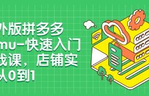 《海外版拼多多Temu快速入门实战课》店铺实战从0到1