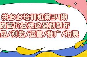 拼多多培训班第34期《做高价女装必盈利》剖析/选品/测款/运营/推广/拓展