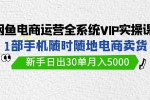《闲鱼电商运营全系统VIP实战课》新手日出30单月入5000