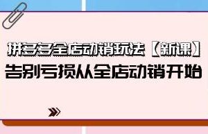 《拼多多全店动销玩法》告别亏损从全店动销开始