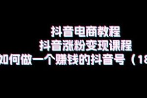 抖音电商教程《抖音涨粉变现》做一个赚钱的抖音号