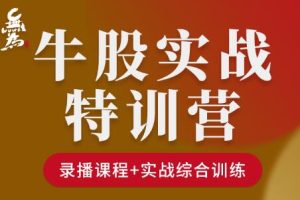 无为《牛股实操特训营》视频